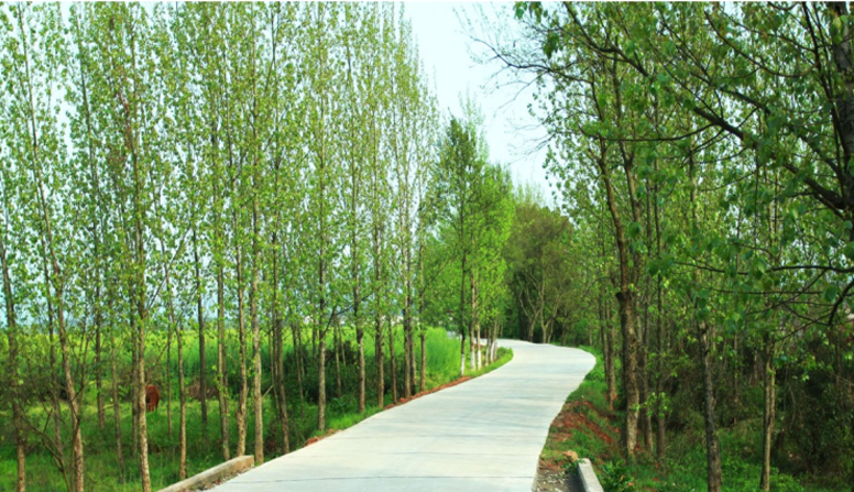 江西信豐縣工業(yè)園科之光路（緯二路）新建大道、產(chǎn)業(yè)大道北段一期工程設(shè)計(jì)、施工總承包（EPC）